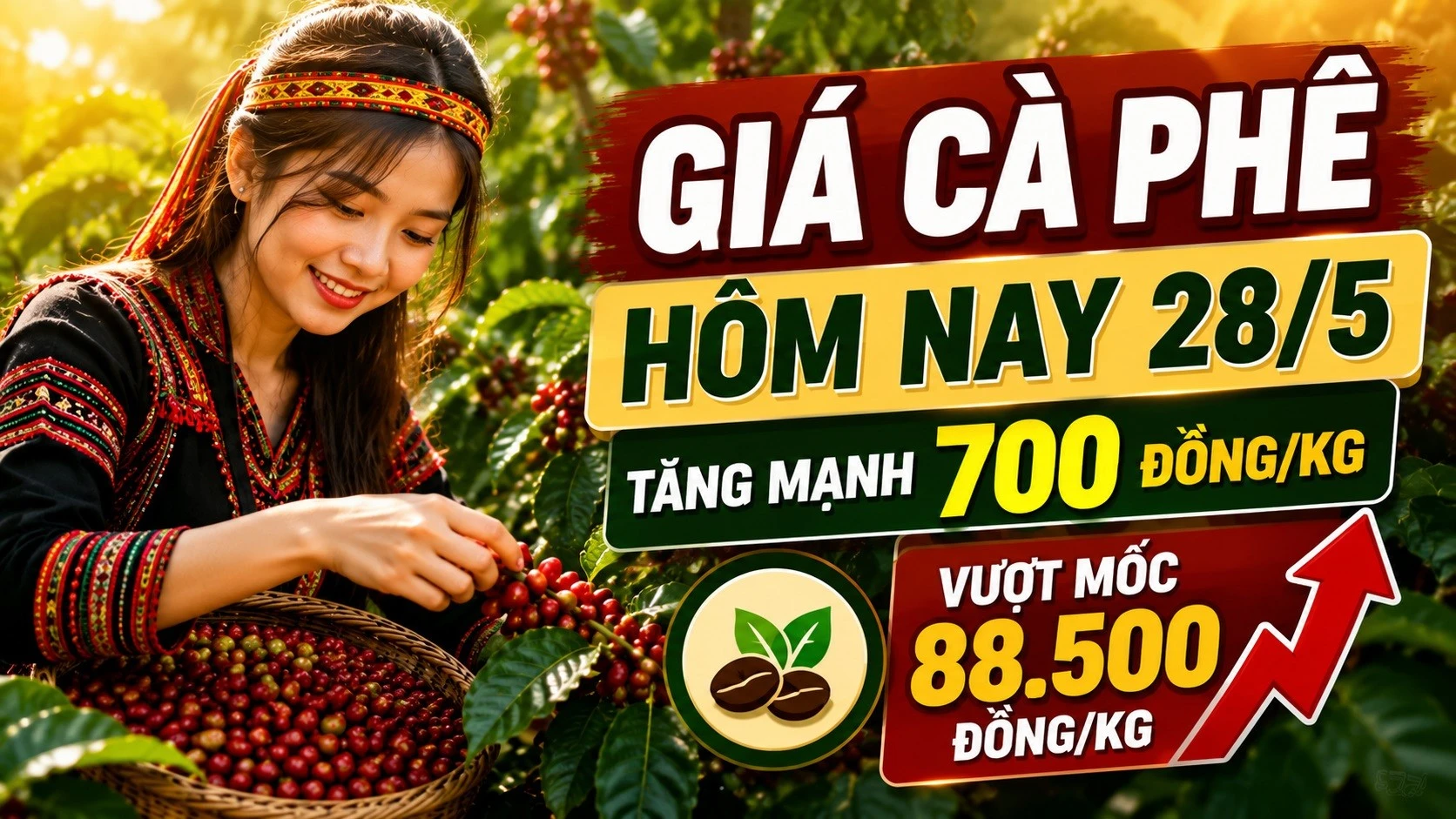 gia-ca-phe-hom-nay-28-5-2026-520.jpg
