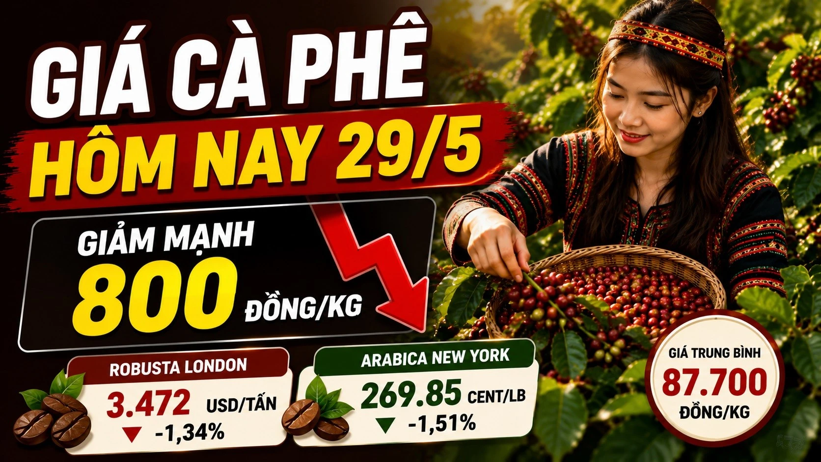 gia-ca-phe-hom-nay-29-5-2026-6504.jpg