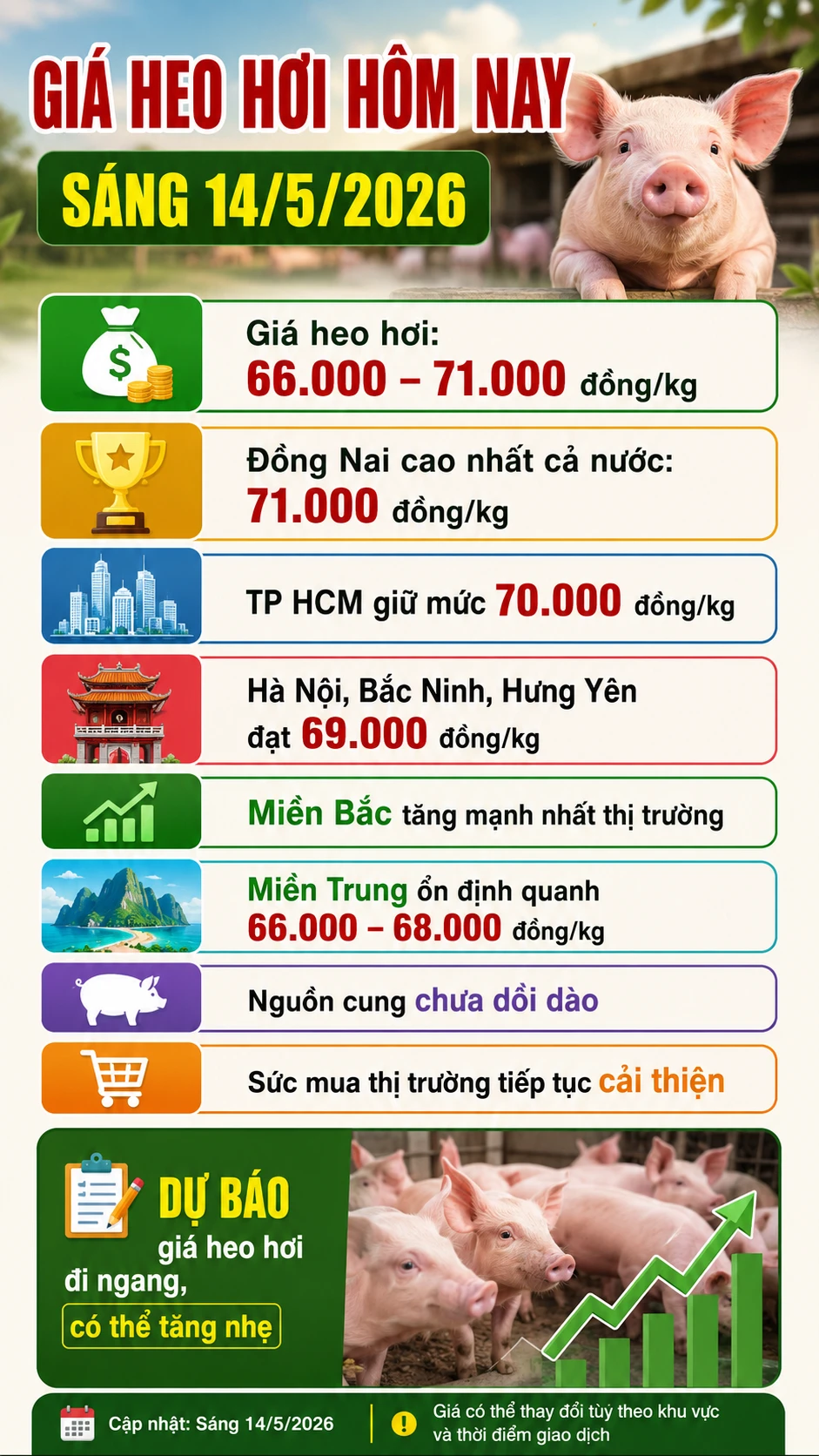 gia-heo-hoi-hom-nay-14-5-2026.png