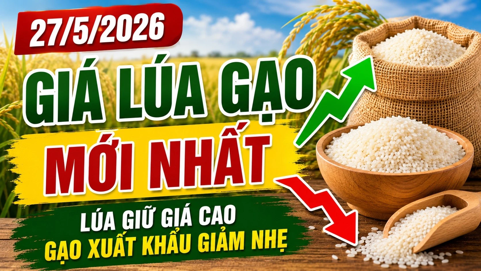 gia-lua-gao-hom-nay-27-5-2026-8942.jpg