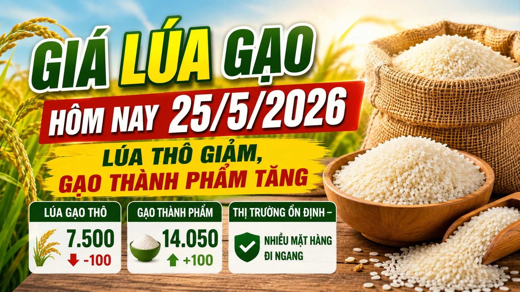 gia-lua-gao-hom-nay-25-5-2026-7630.jpg