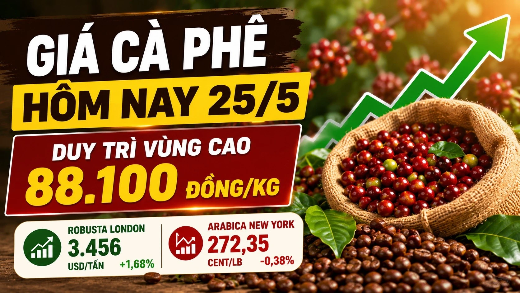 gia-ca-phe-hom-nay-25-5-2026-6372.jpg