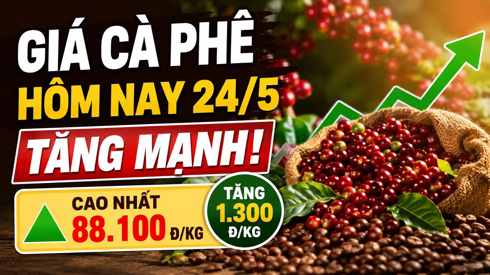 gia-ca-phe-hom-nay-24-5-2026-8392.jpg