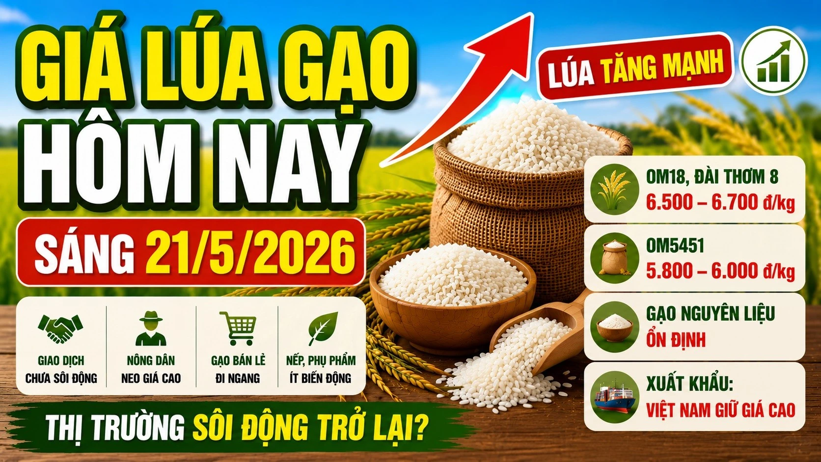gia-lua-gao-hom-nay-21-5-2026.jpg