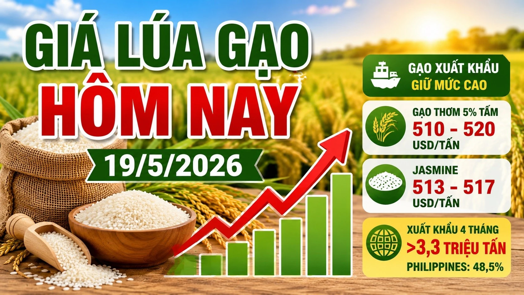 gia-lua-gao-hom-nay-19-5-2026-1469.jpg