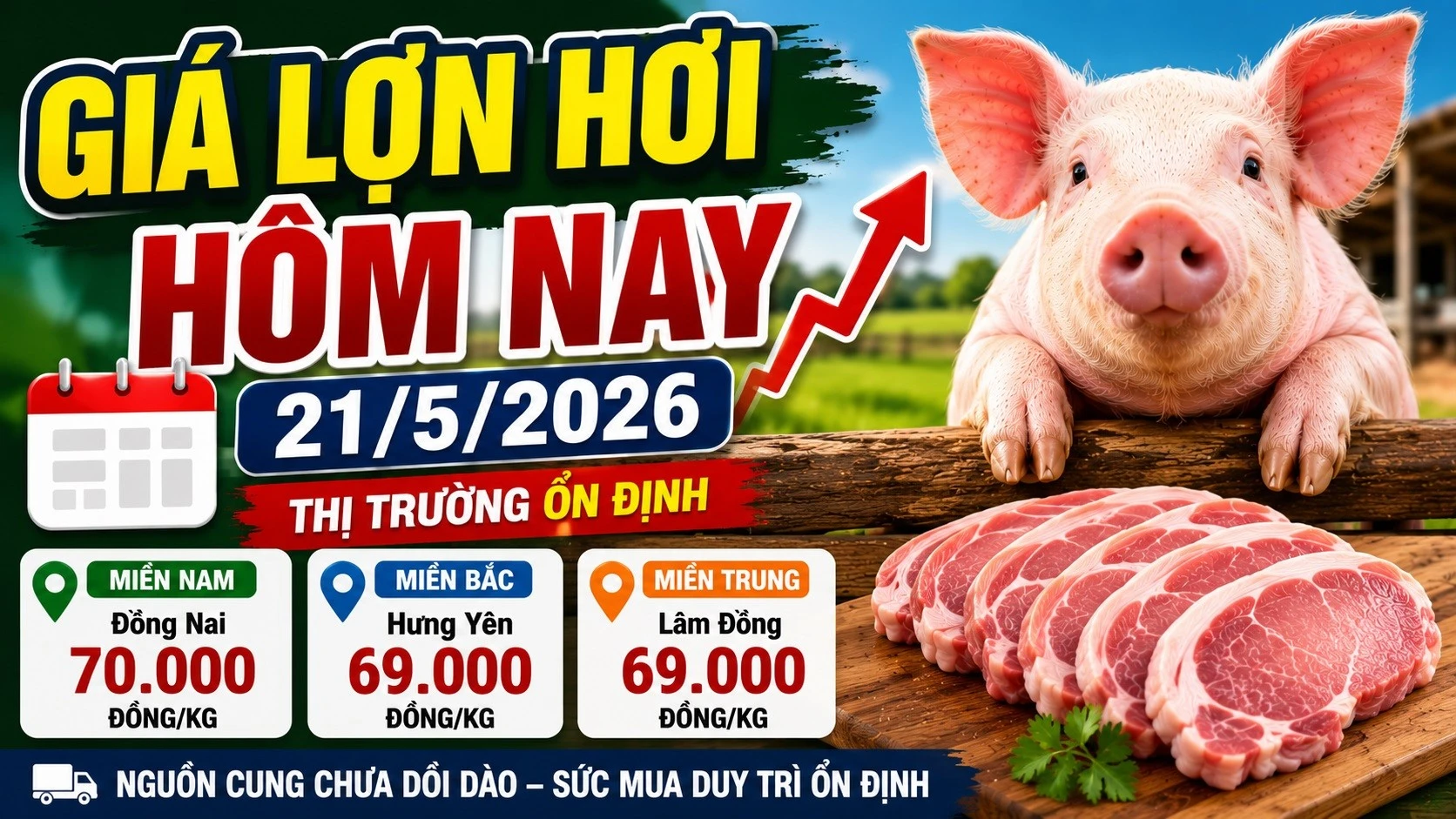 gia-lon-hoi-hom-nay-21-5-2026-7147.jpg