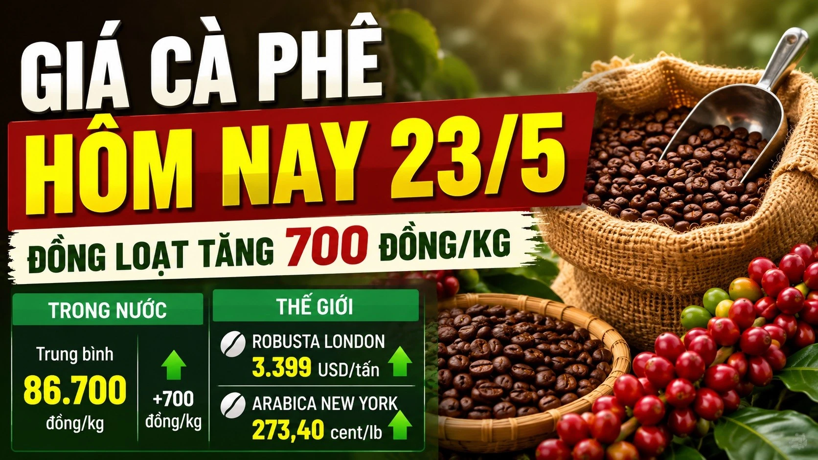 gia-ca-phe-hom-nay-23-5-2026-9604.jpg