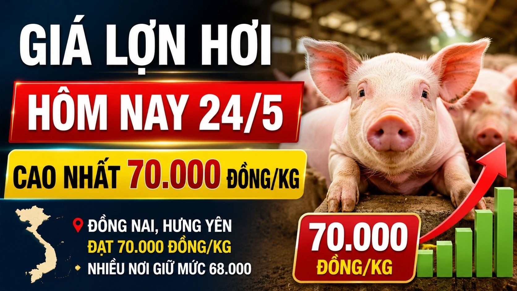 gia-lon-hoi-hom-nay-24-5-2026-530.jpg