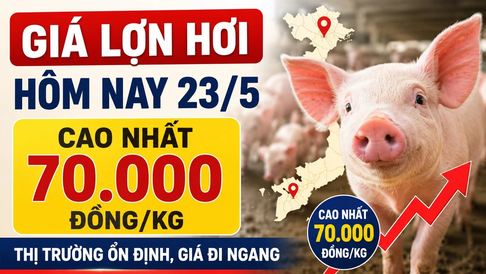 gia-lon-hoi-hom-nay-23-5-2026-6272.jpg