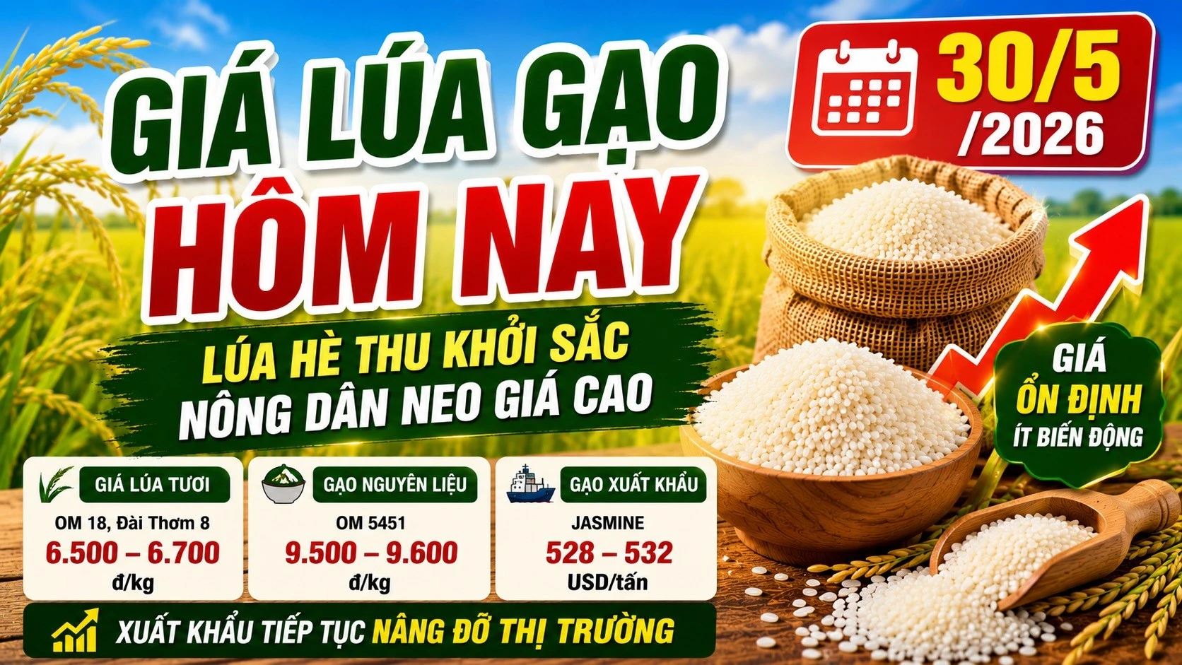 gia-lua-gao-hom-nay-30-5-2026.jpg
