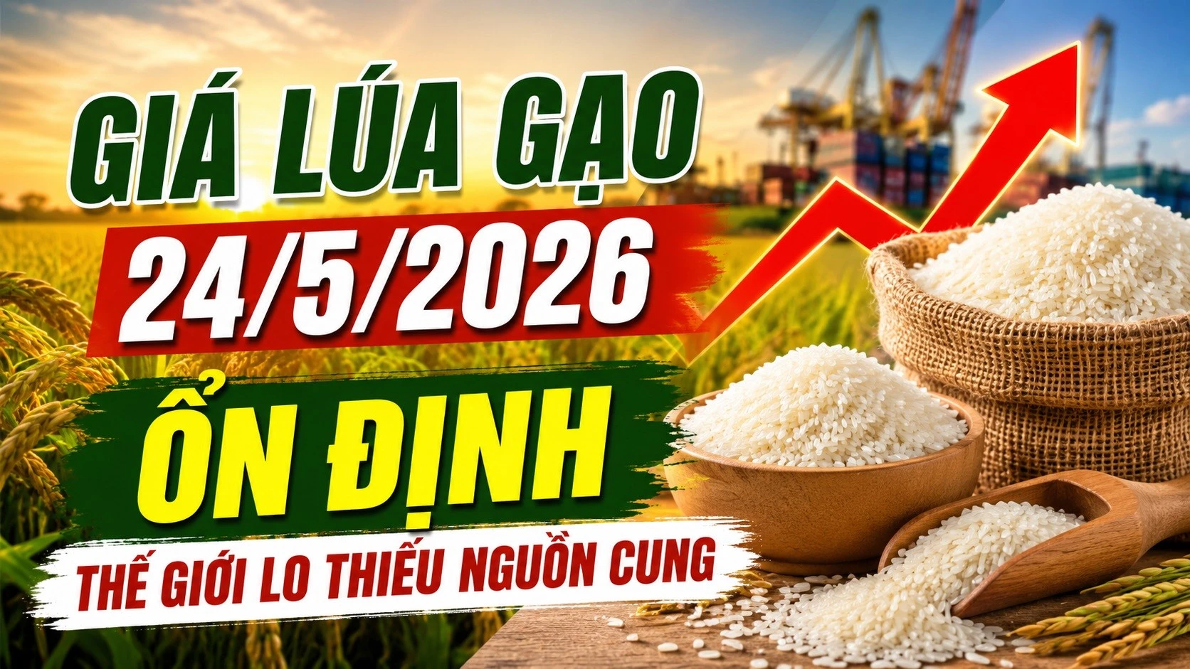 gia-lua-gao-hom-nay-24-5-2026-5199.jpg