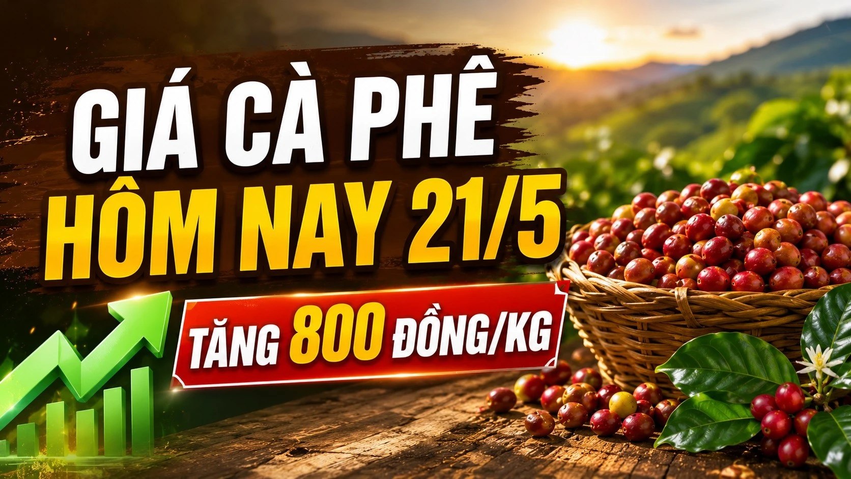 gia-ca-phe-hom-nay-21-5-2026-7744.jpg