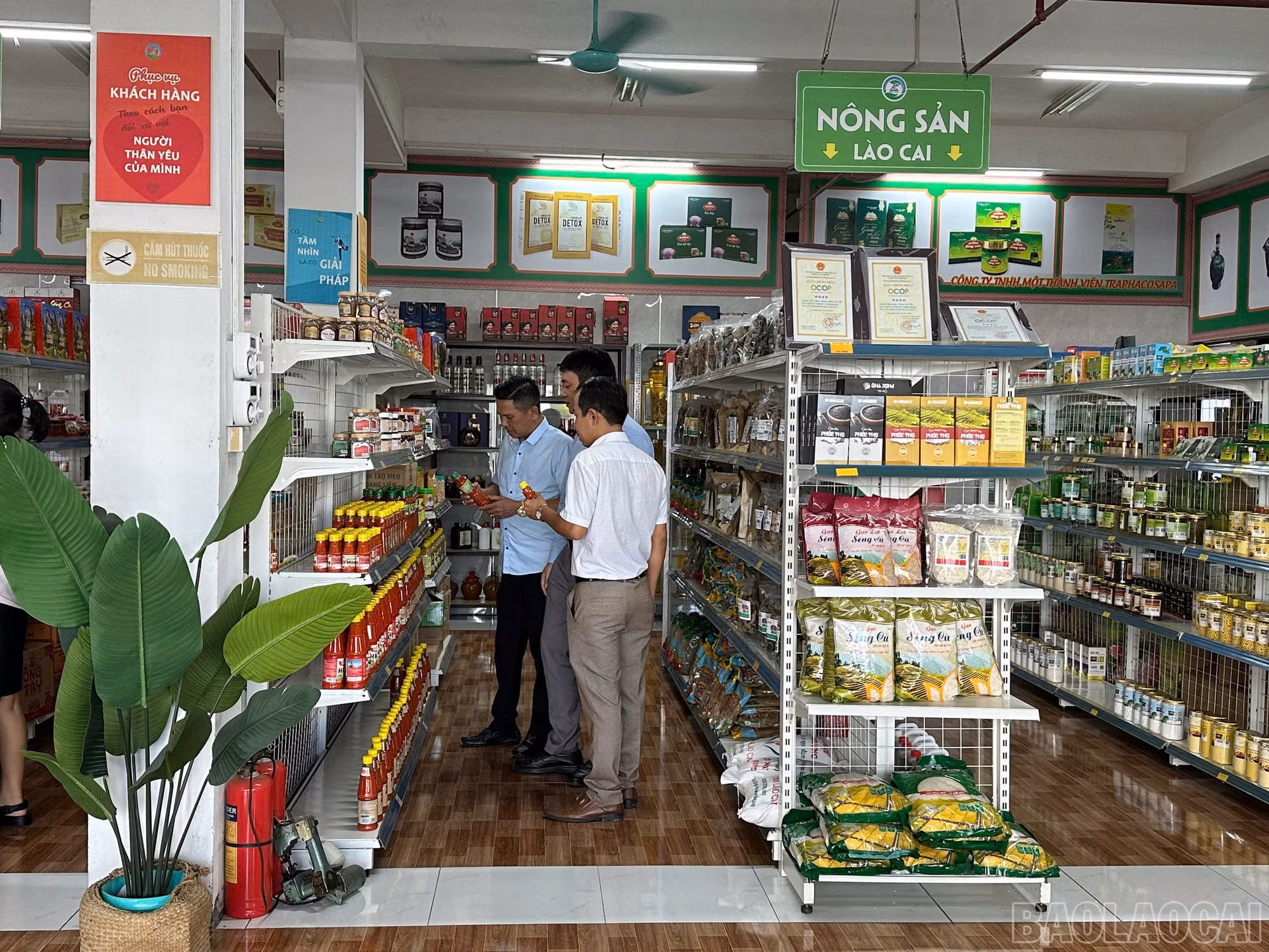 baolaocai-br_z5803860105202-48fb4801dbf64cbca0f7cc070e7819b6.jpg