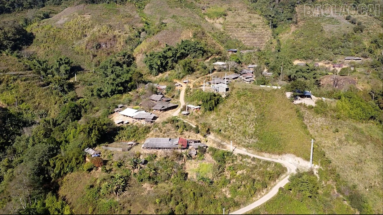 baolaocai-tr_duong-dac-thu5.jpg