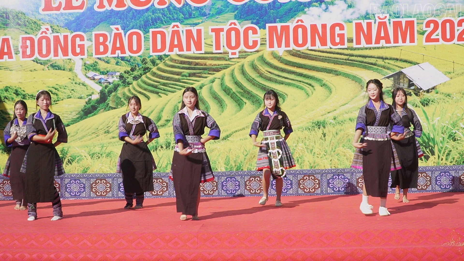 baolaocai-tr_cm4.jpg
