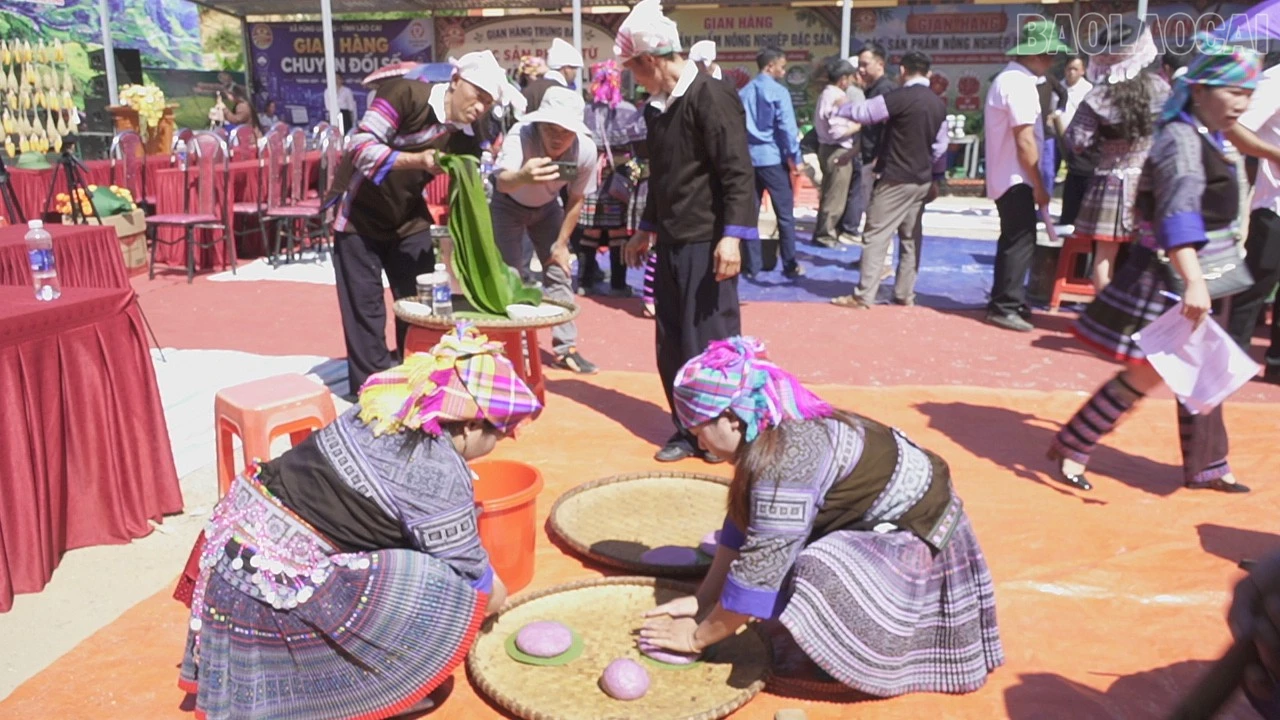 baolaocai-tr_c3698t01.jpg