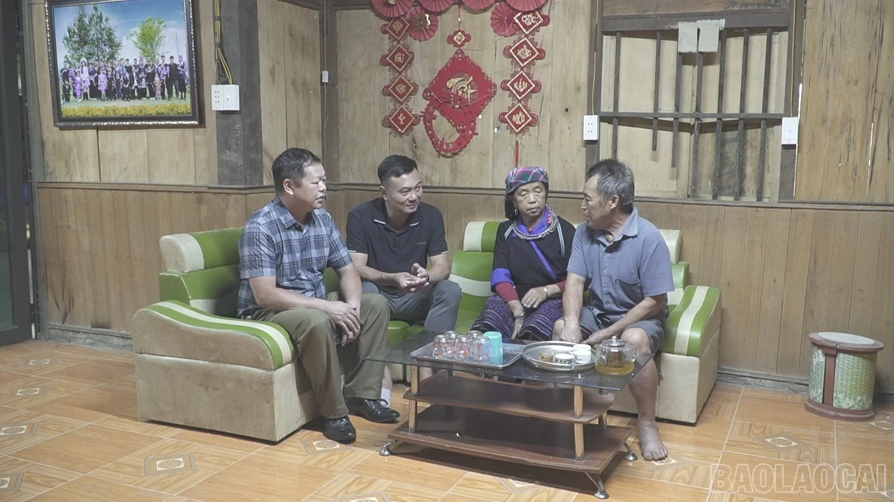 baolaocai-br_c0132t01-8966.jpg