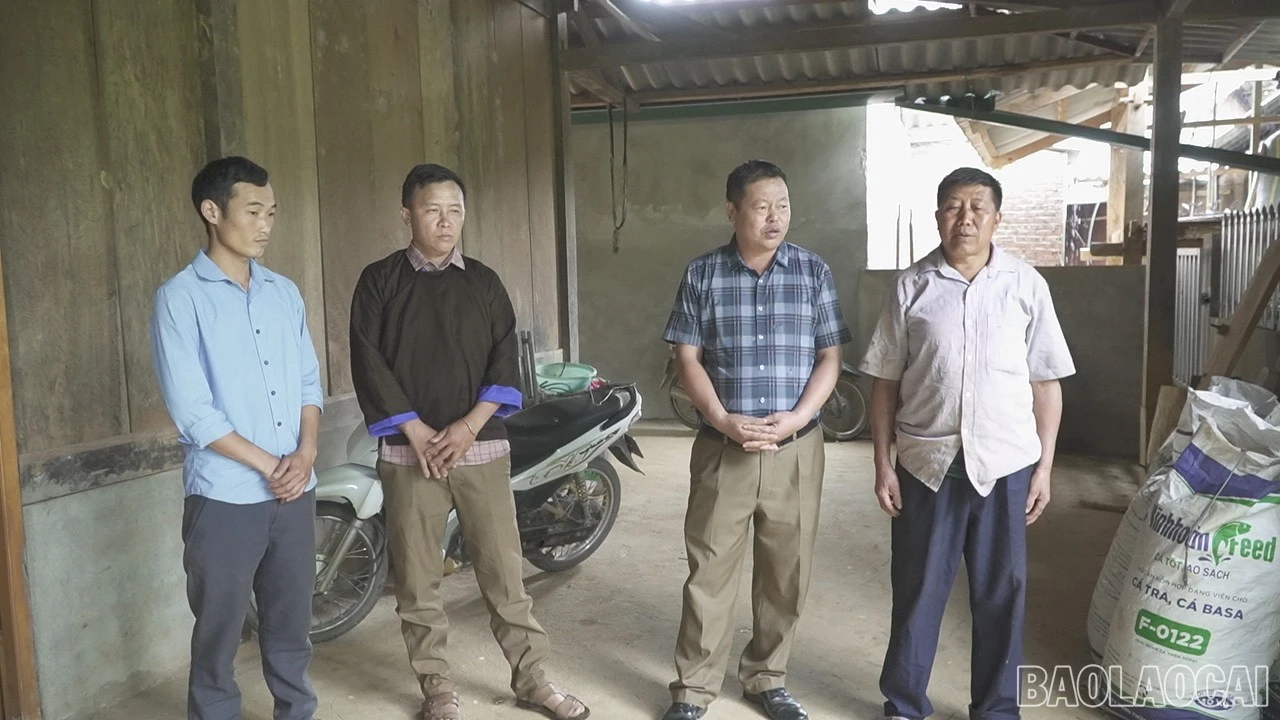 baolaocai-br-c0184t01.jpg