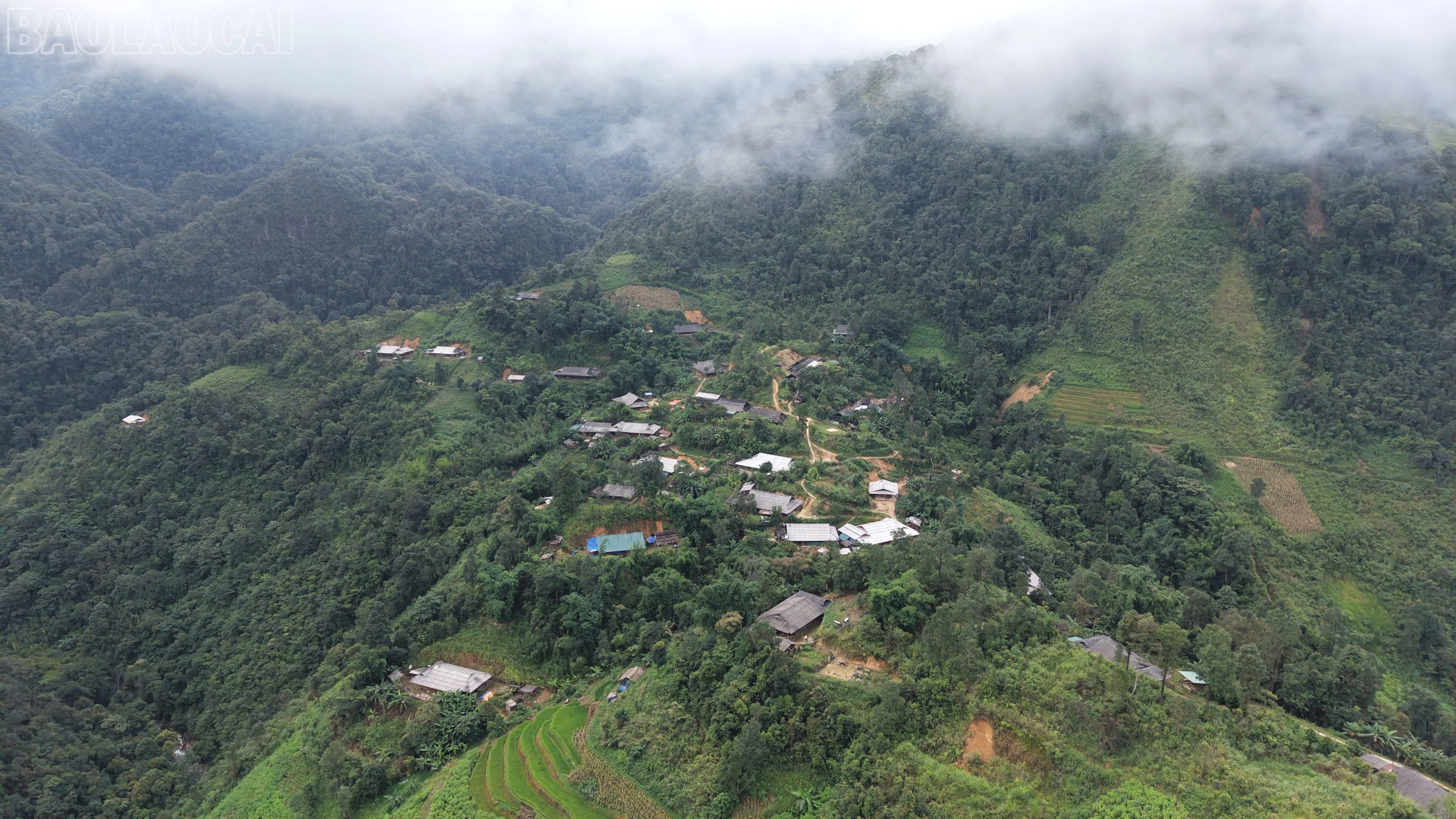 baolaocai-tl_dji-20260825113452-0026-d-9359.jpg
