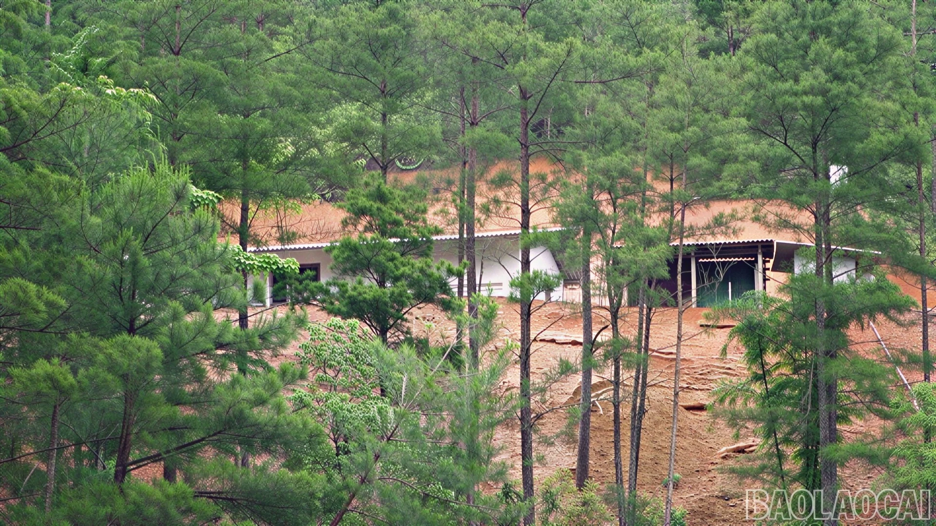 br-cdpctt11.jpg