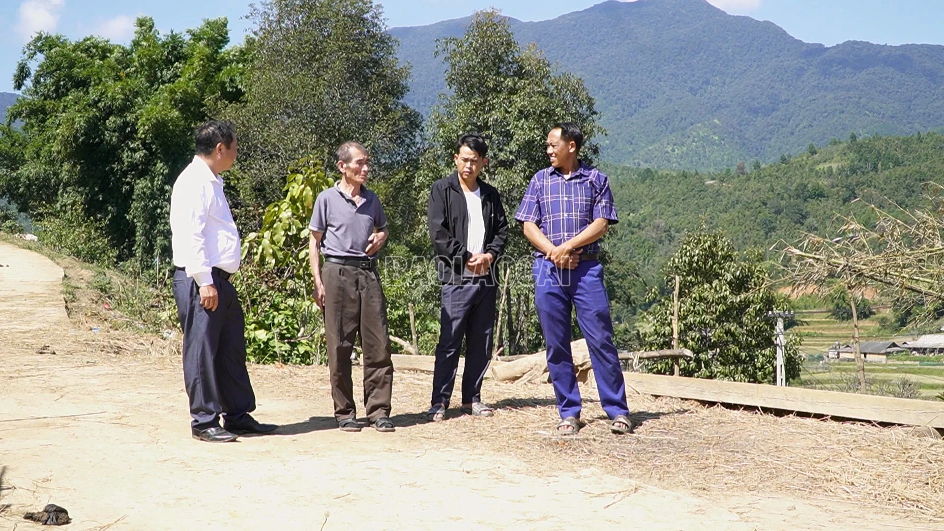 baolaocai-c_pl3.jpg