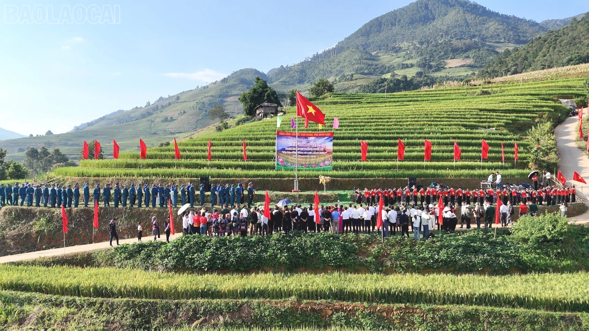 baolaocai-tl_2-9271.jpg