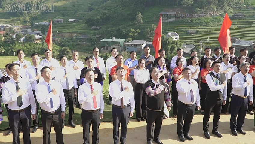 baolaocai-tl_cc12.jpg