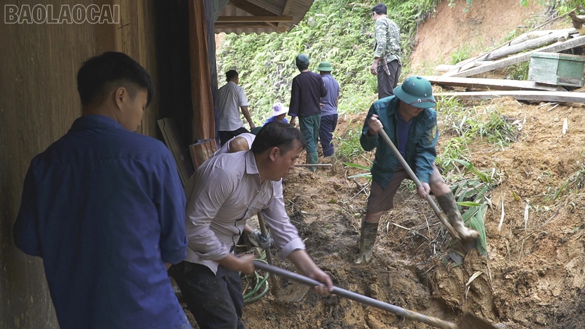 baolaocai-tl_ctcd3-449.jpg