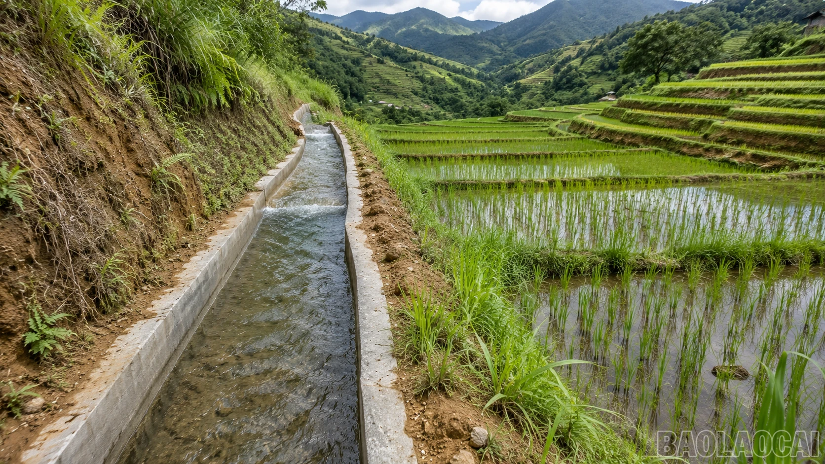 baolaocai-br_chatgpt-image-21-20-24-23-thg-7-2026-9951.png