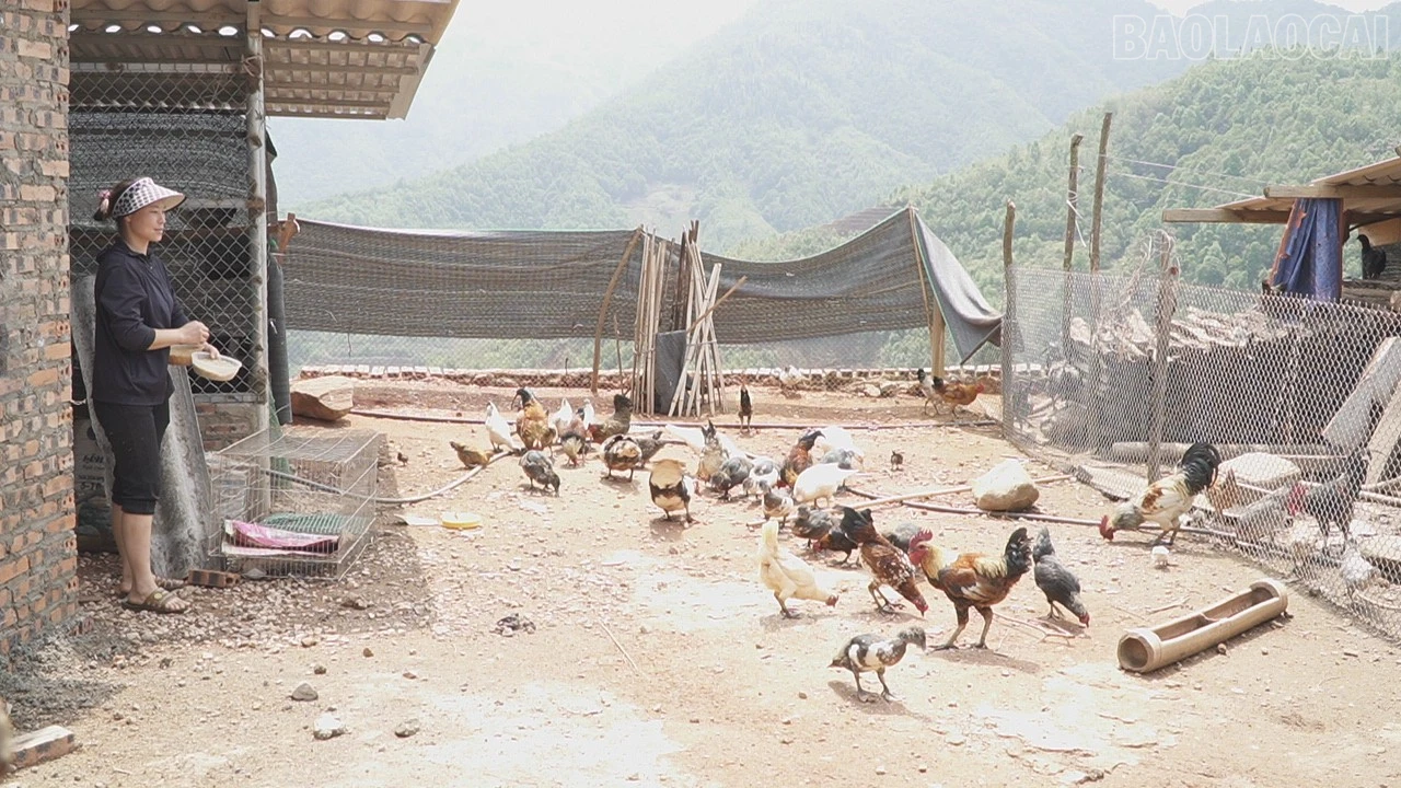 baolaocai-tr_nha-lao-chai-86.jpg