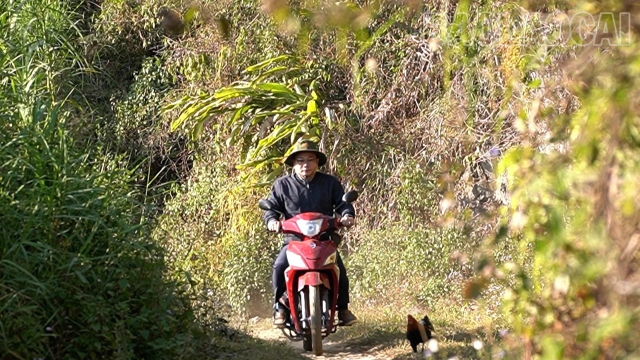 duong-dac-thu13-532.jpg