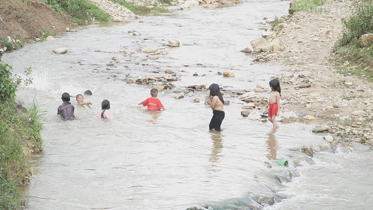 baolaocai-tr_c9637t01-3733.jpg