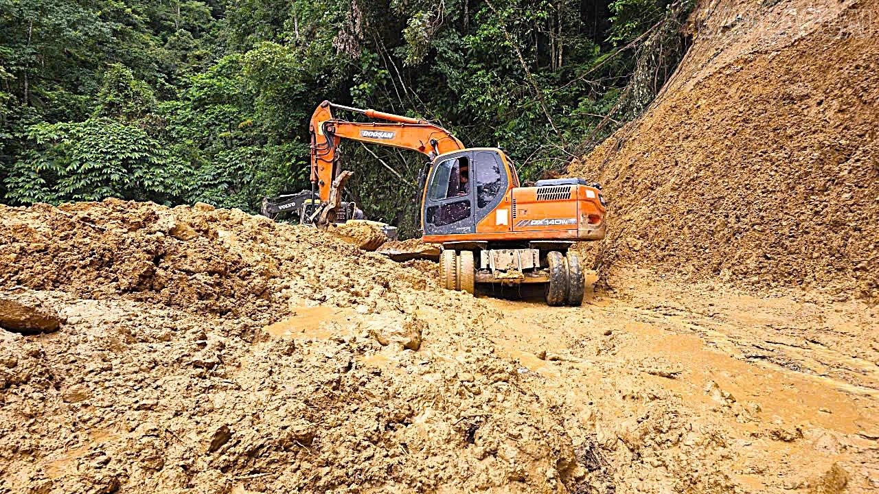 baolaocai-tr_z8087286355518-5d890a41b213895c844b6026301afc70.jpg