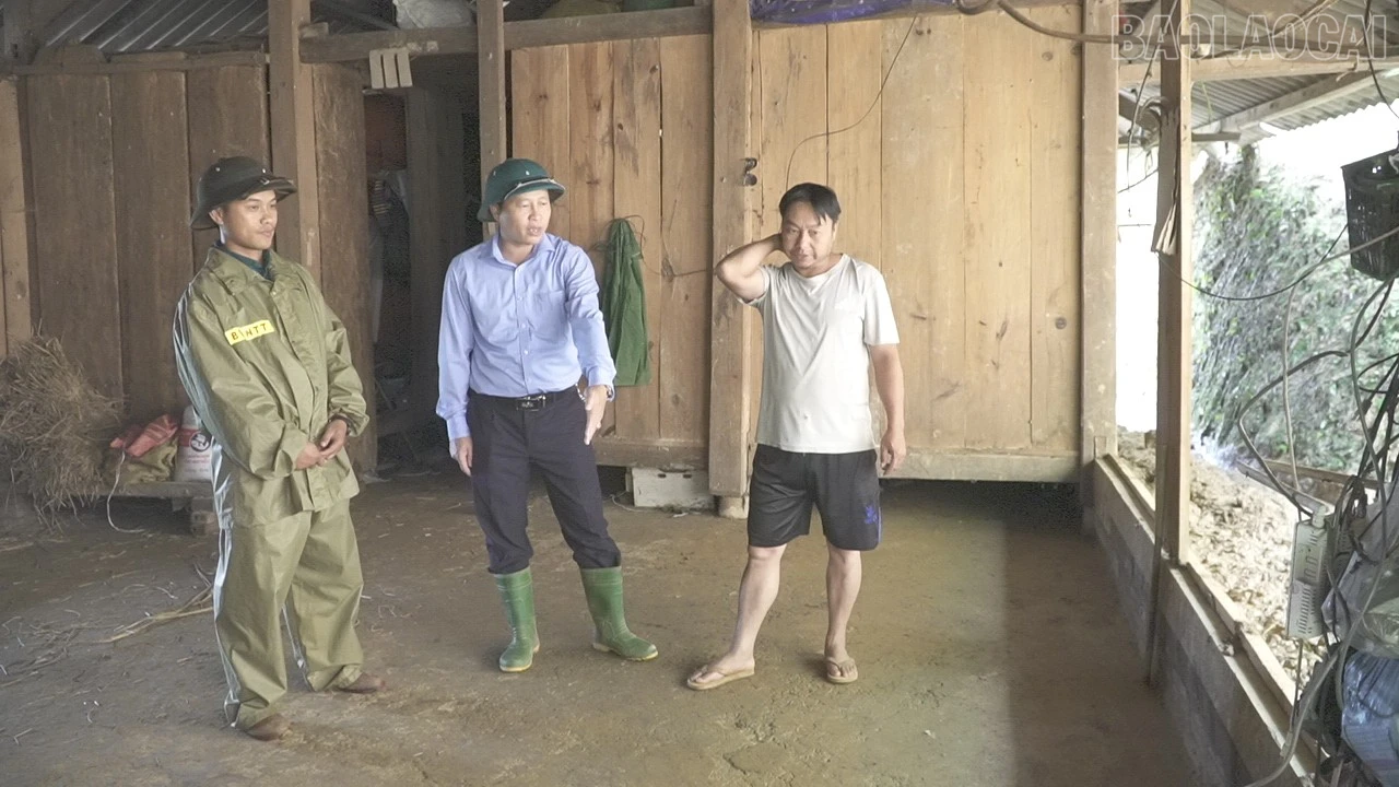 baolaocai-tr_c1298t01-9354.jpg