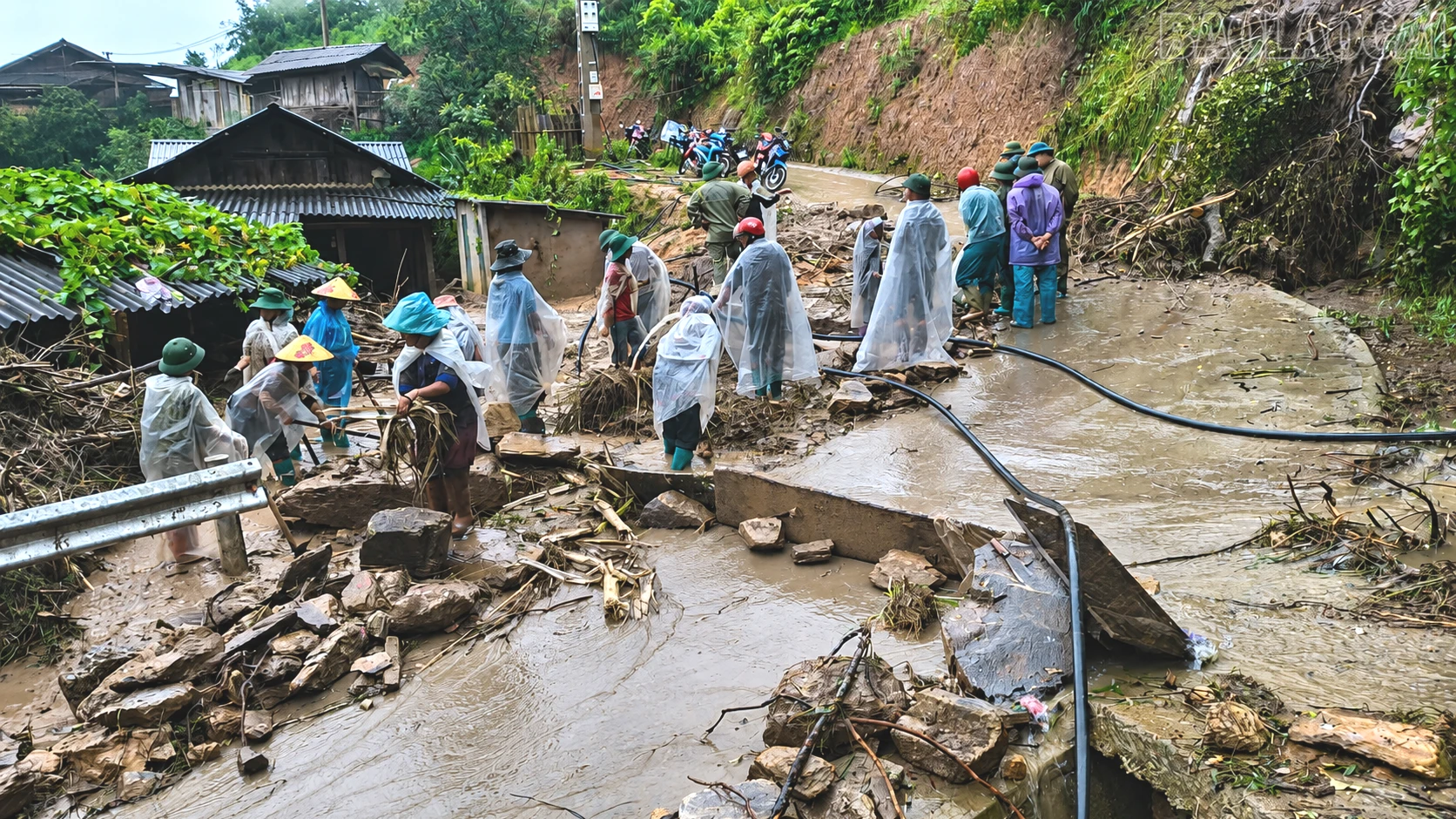 baolaocai-tr_chatgpt-image-17-24-21-6-thg-7-2026-8250.png
