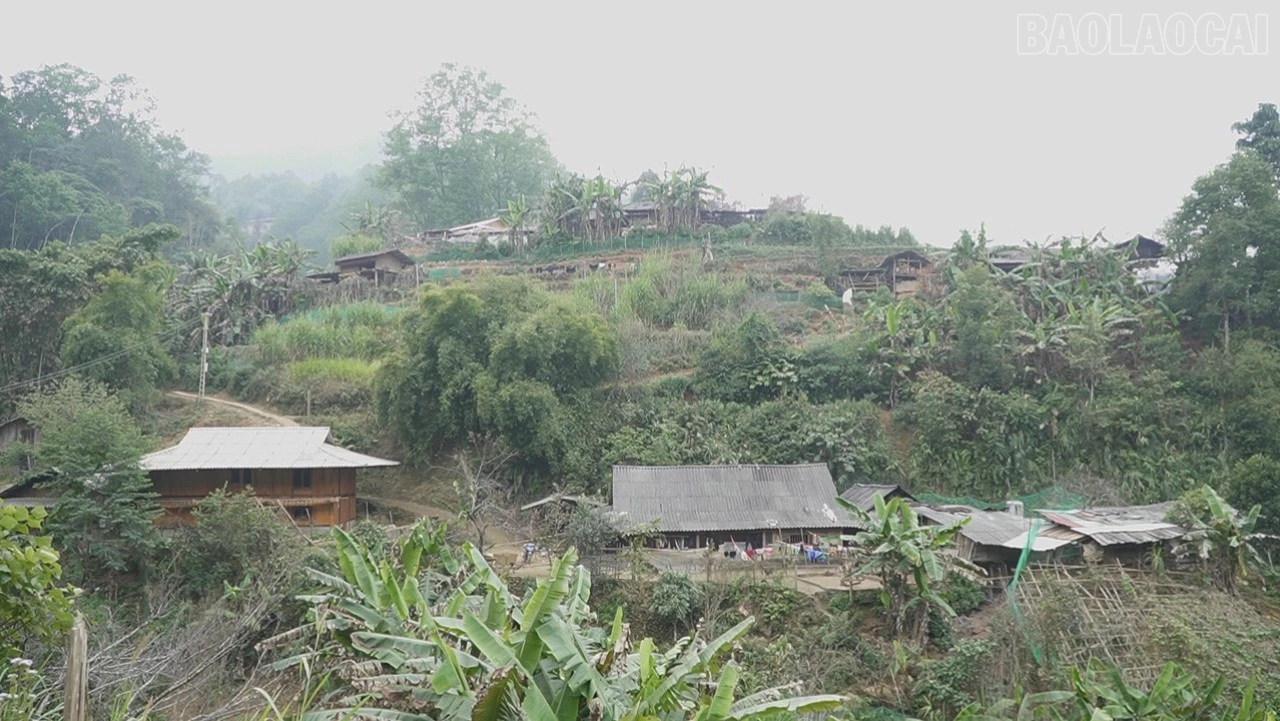 baolaocai-tr_c2925t01-5021.jpg