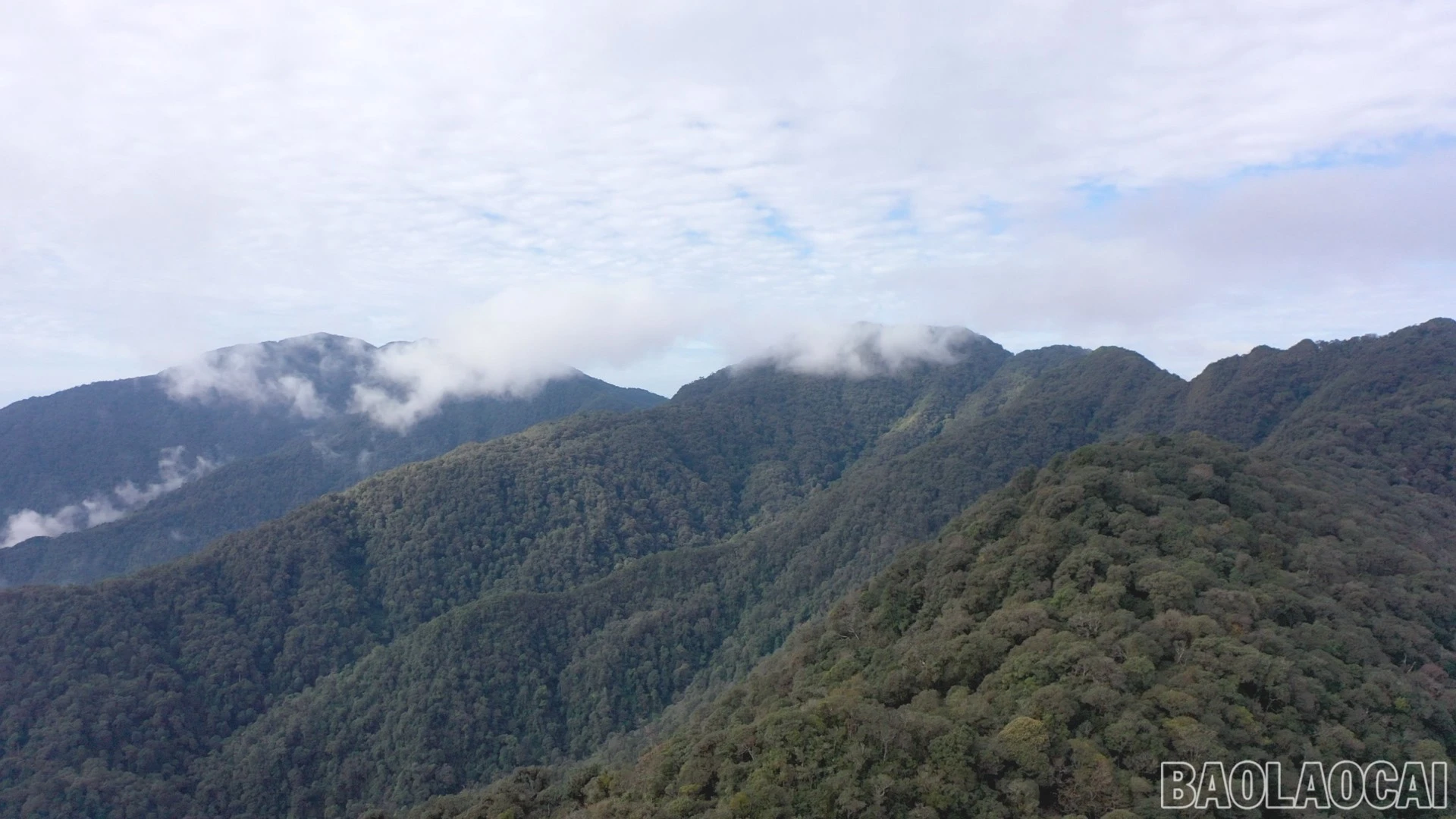 baolaocai-br-na-hang-15.jpg
