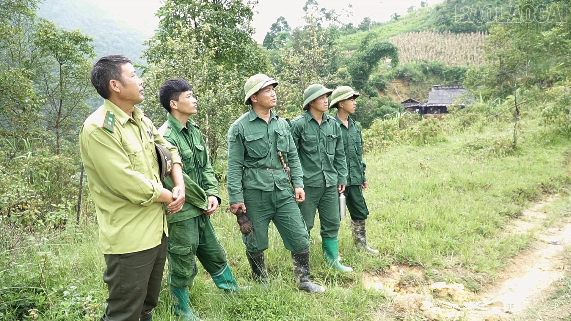 baolaocai-tr_na-hang7.jpg