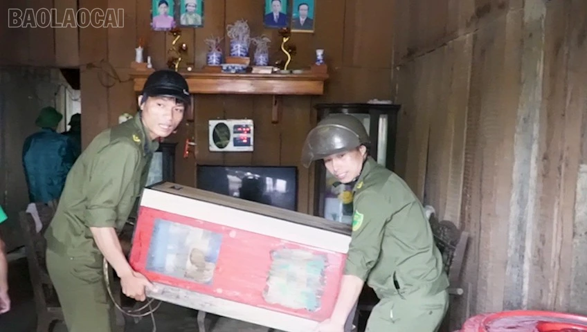 baolaocai-tl_dgh12.jpg