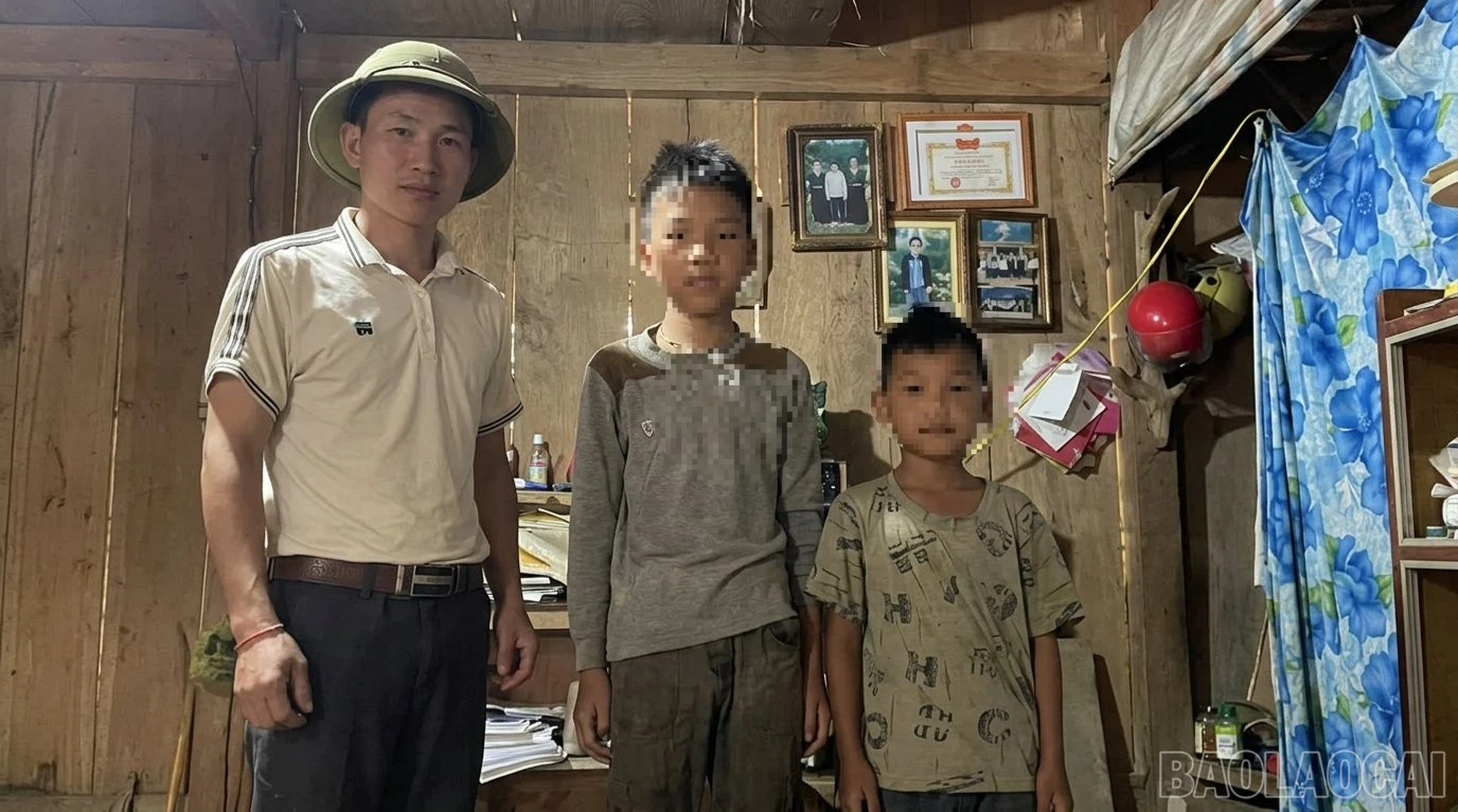 baolaocai-tl-vdhd2-5328.jpg