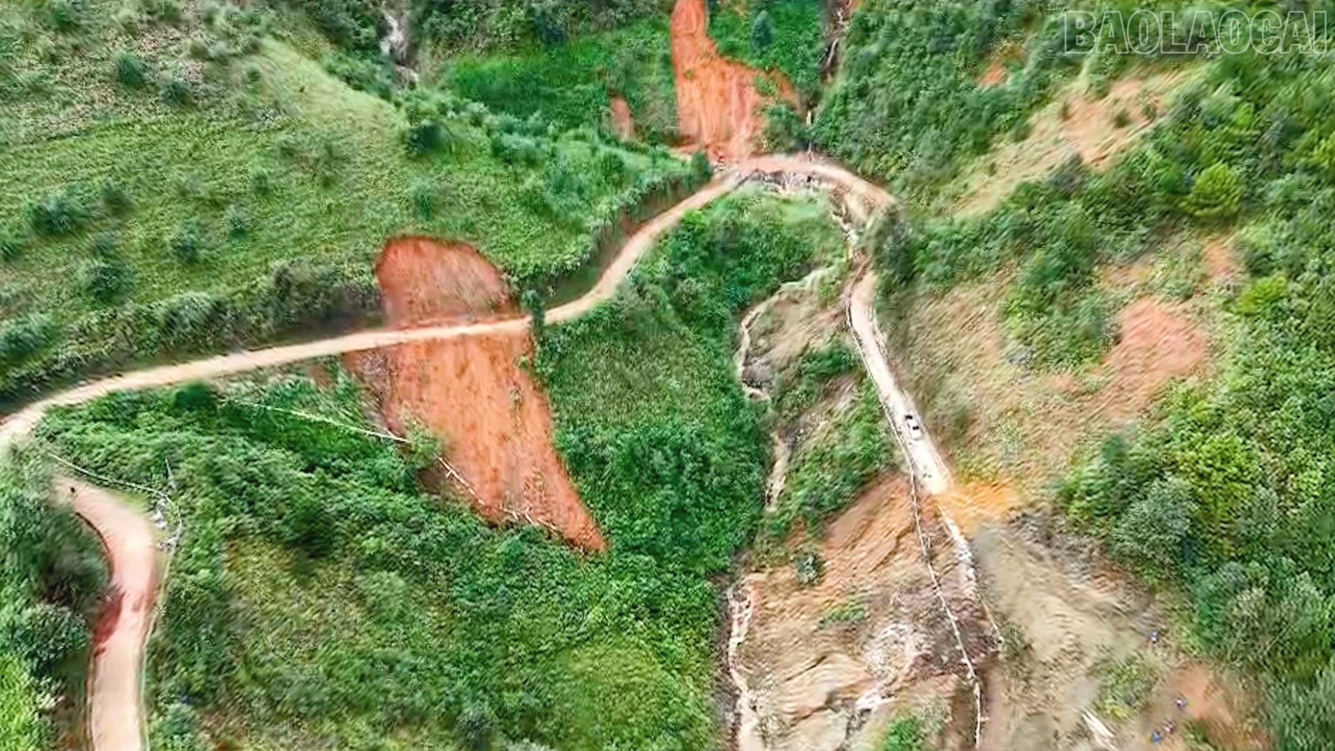 baolaocai-tr_ctao3-6135-44.jpg