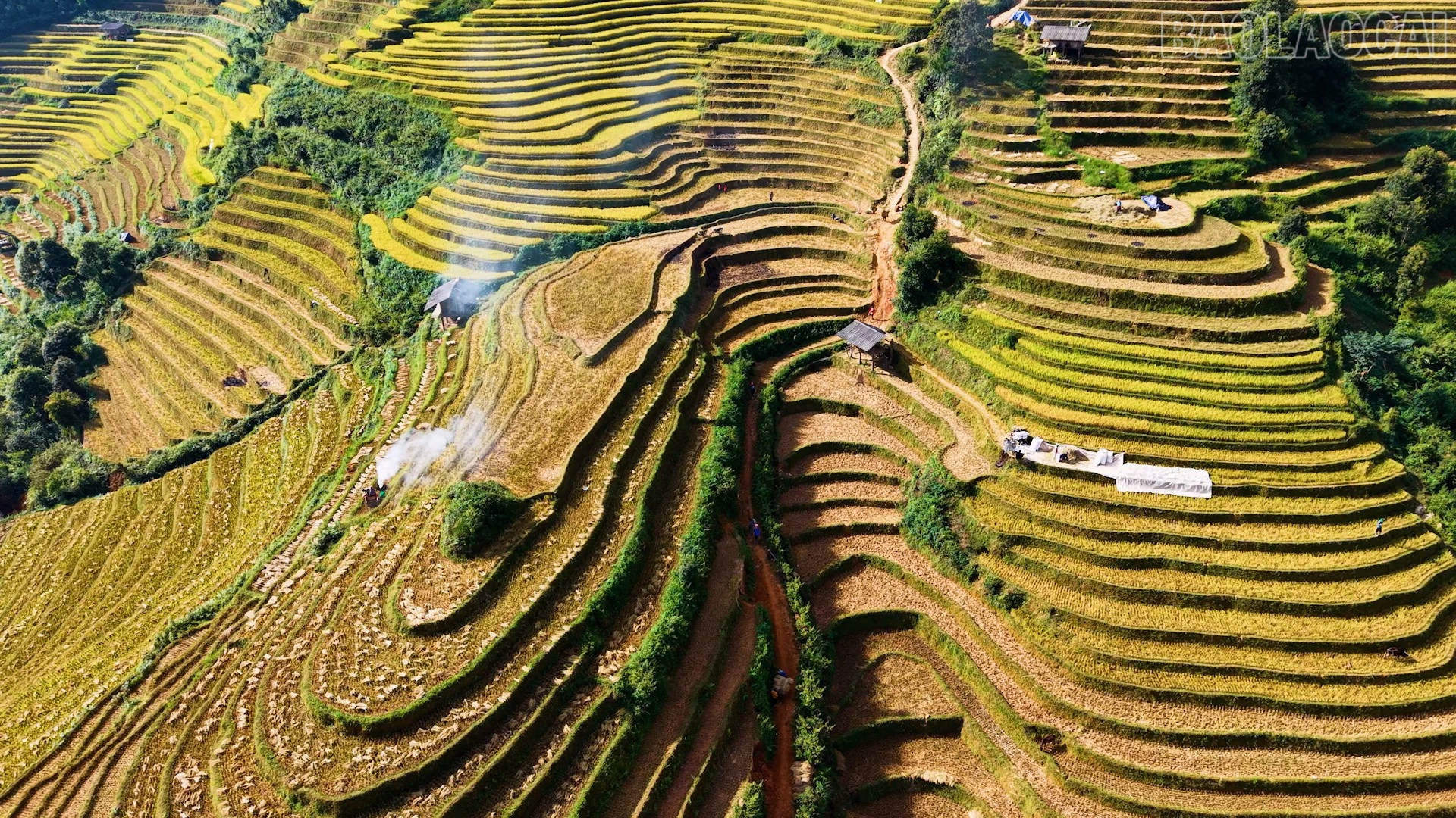 baolaocai-tr_bai3.jpg