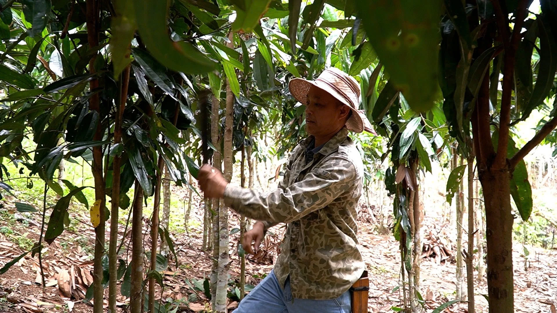 khe-trang-6.jpg