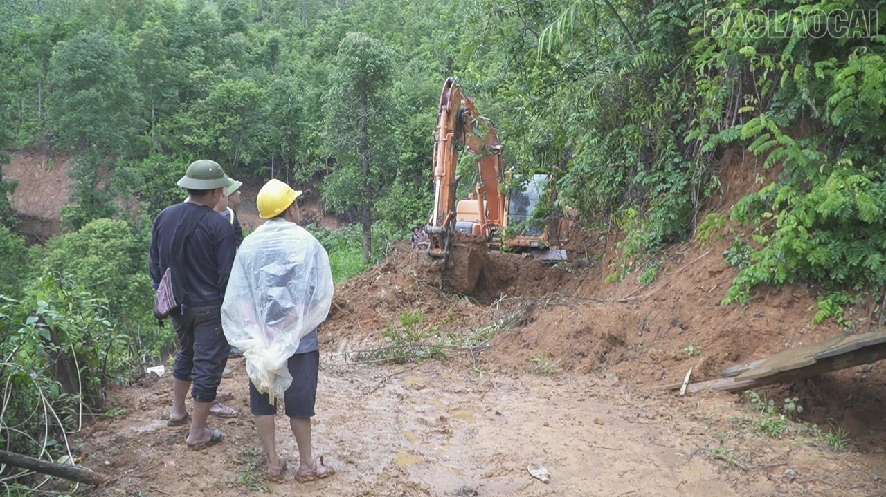 baolaocai-tr_c2292t01-9286.jpg
