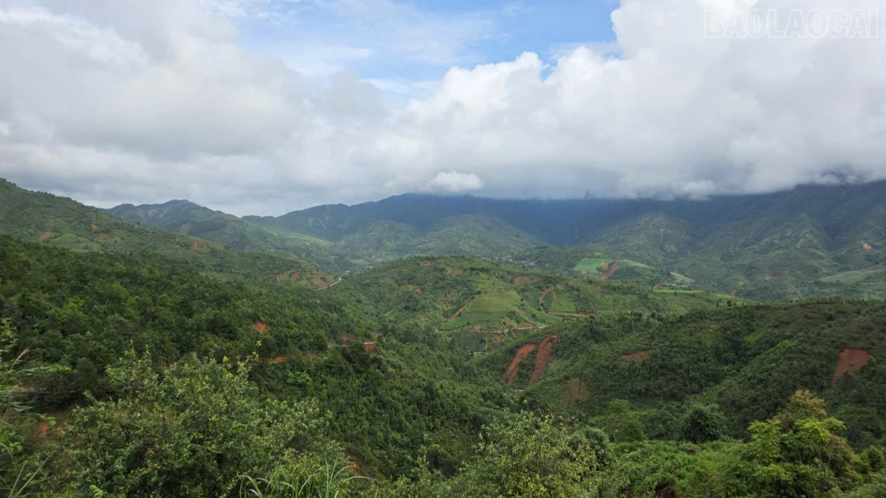 baolaocai-tr_z8063861611051-f4595f1f1f1671061ac2445421f4a19d-9697.jpg