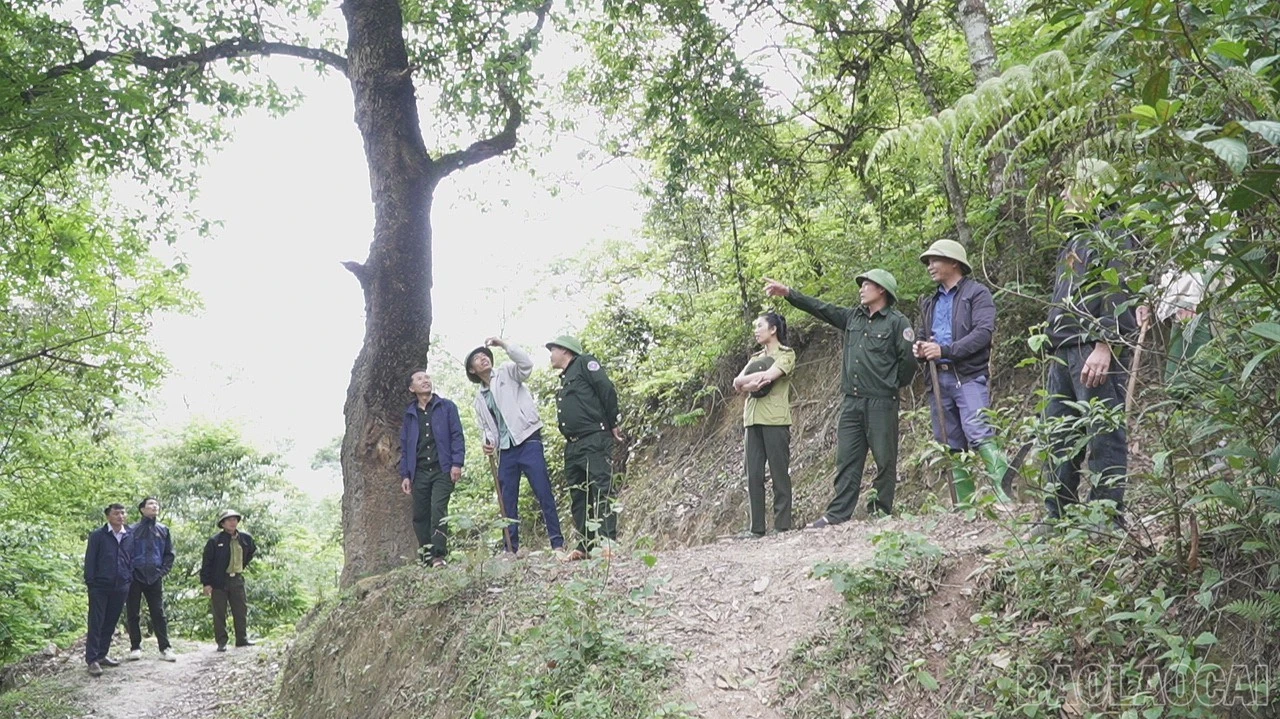baolaocai-br_tu-le-8-1363.jpg