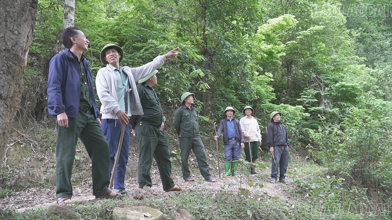 baolaocai-tr-tu-le-7.jpg