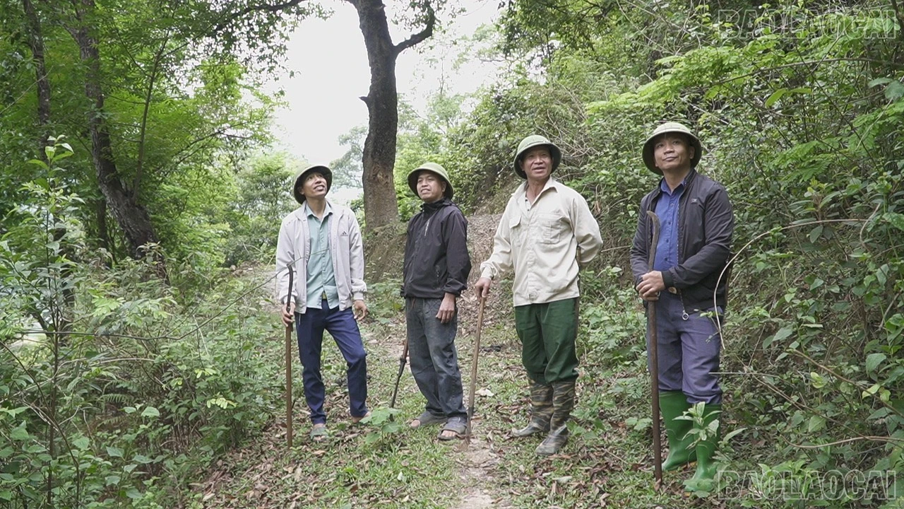 baolaocai-tr-tu-le-5.jpg