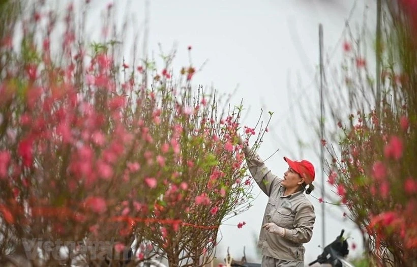 Tết Nguyên đán năm 2026, cán bộ, công chức, viên chức có thể được nghỉ 9 ngày liên tục.