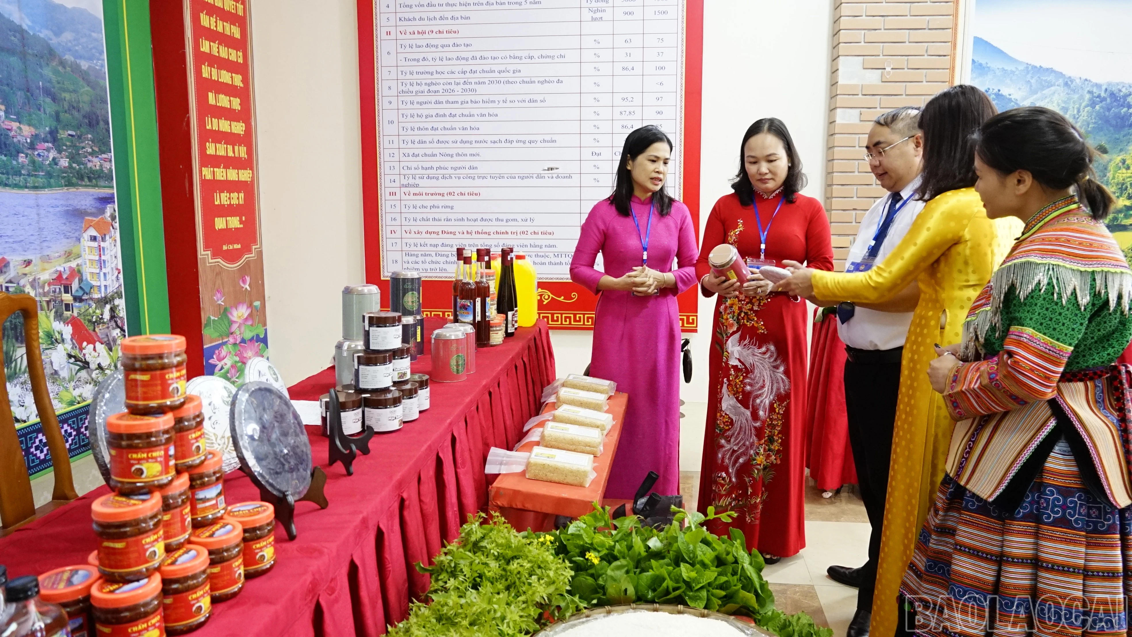 baolaocai-br_dsc3602.jpg
